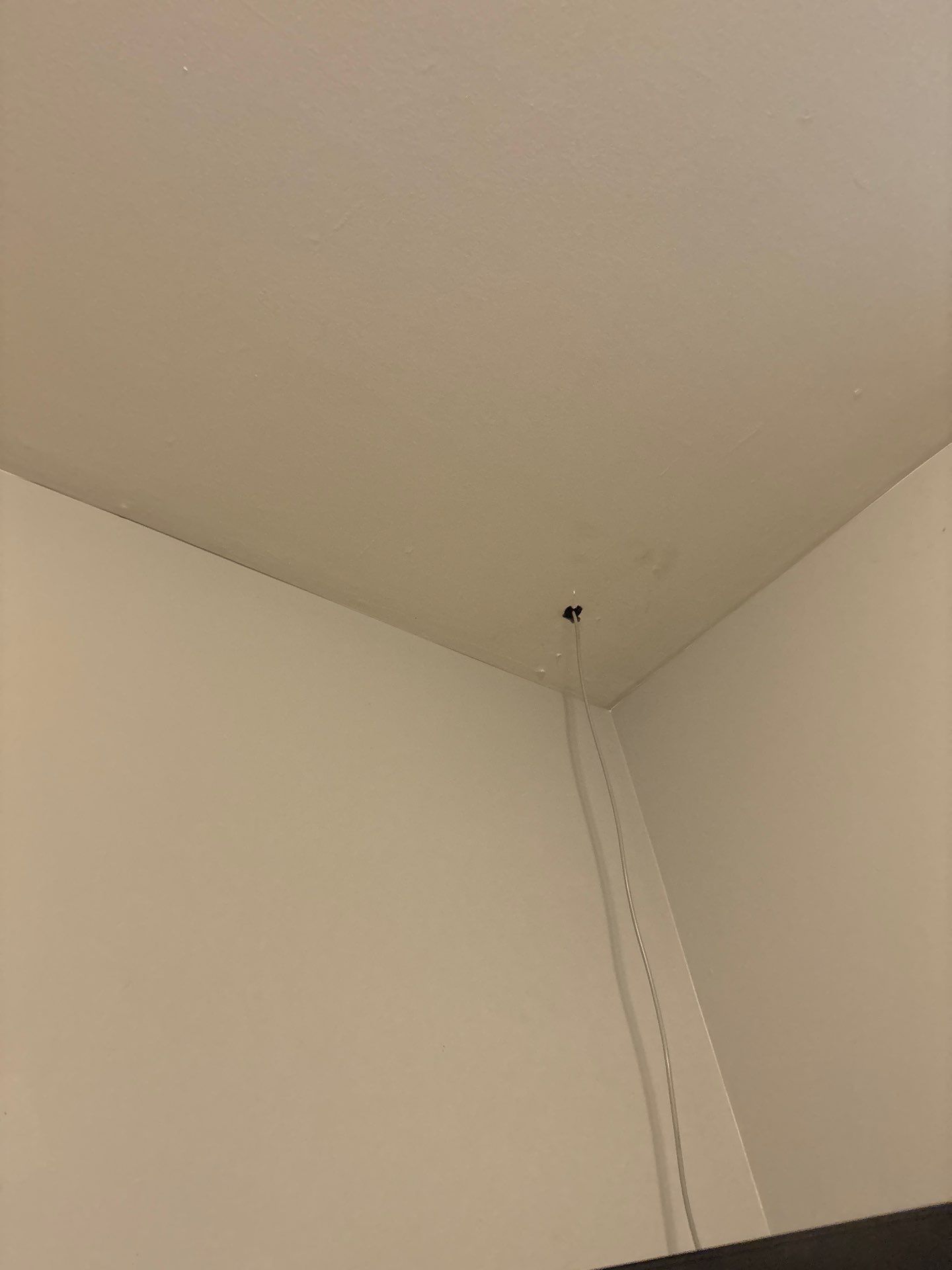 Flush Mount Light Fixture and Ceiling Vent Upgrade in Denver by CompanyCam Sales Demo