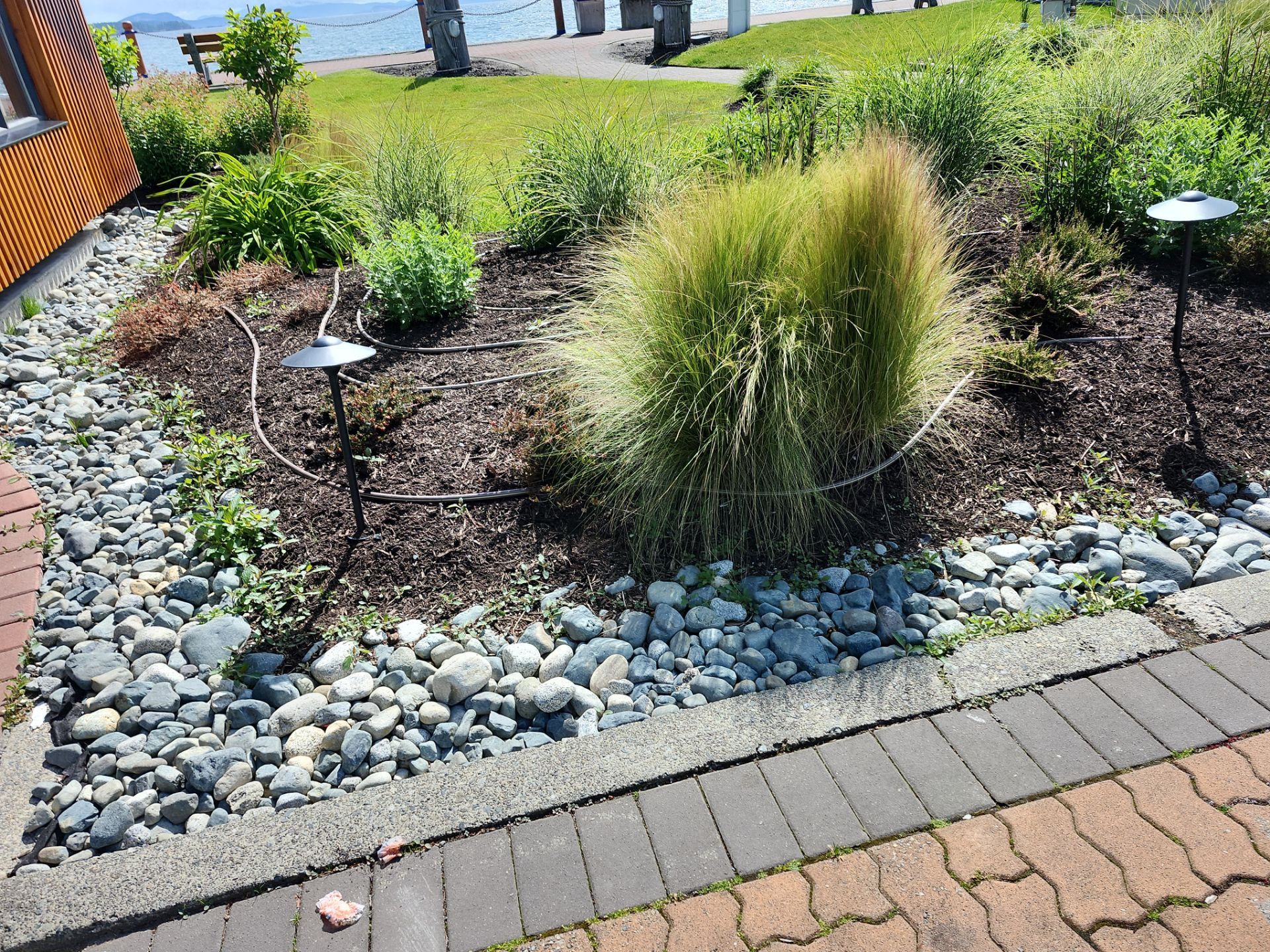 Sidney Pier by Habanero Garden and Exterior Care