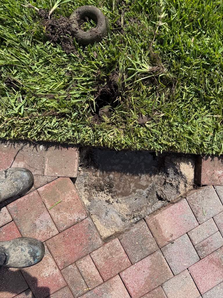 Driveway and Walkway Paver Repair and Sealing in La Paloma by Supreme Paver Experts
