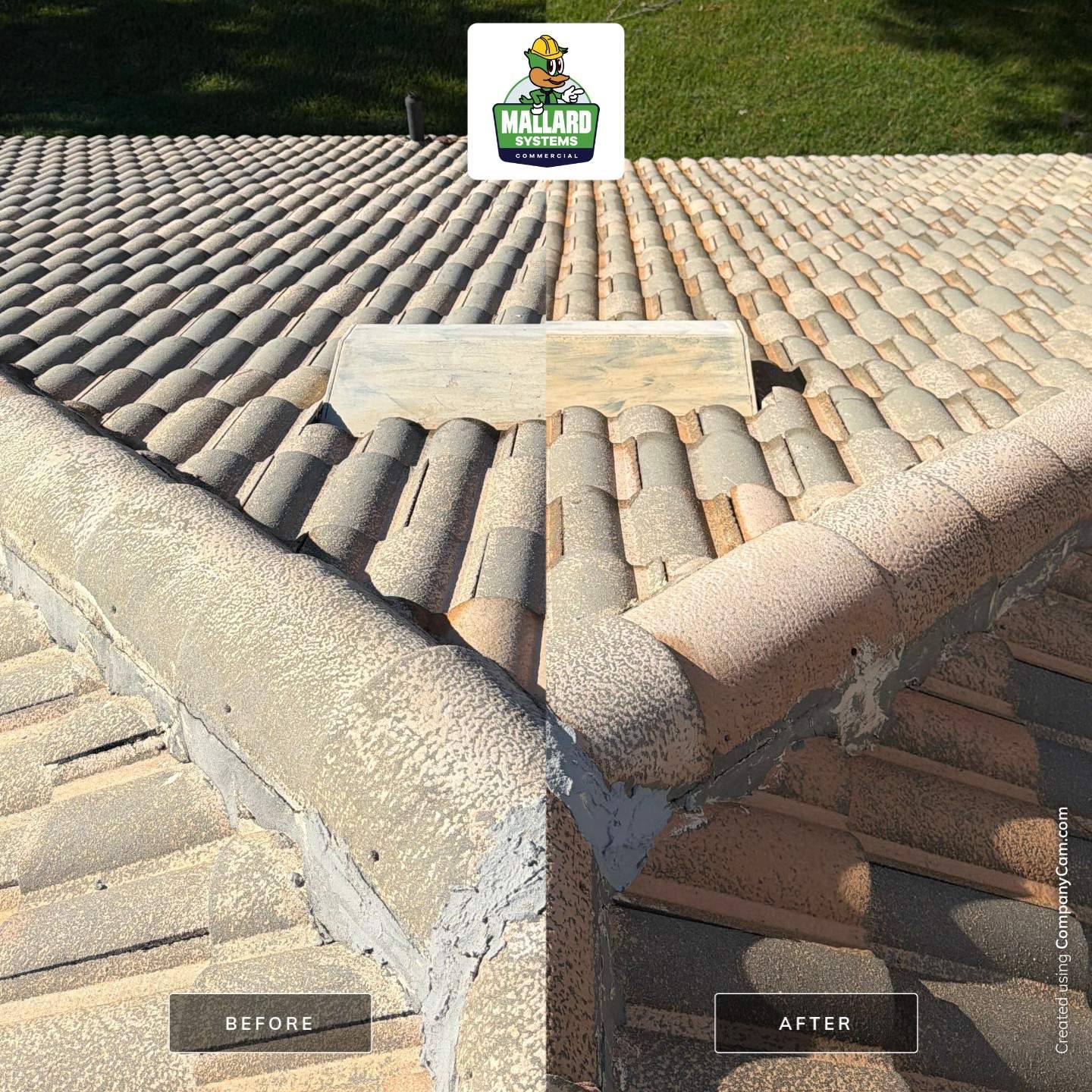 Tile Roof Cleaning for a Residential Home in Windermere by Mallard Systems