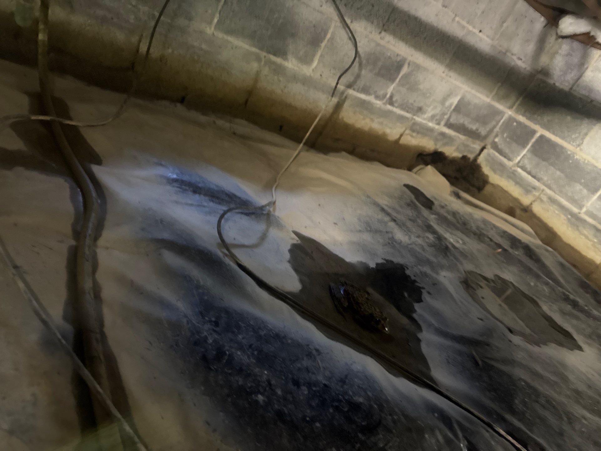 Project in Spring Grove by Patriot Crawl Space Repairs