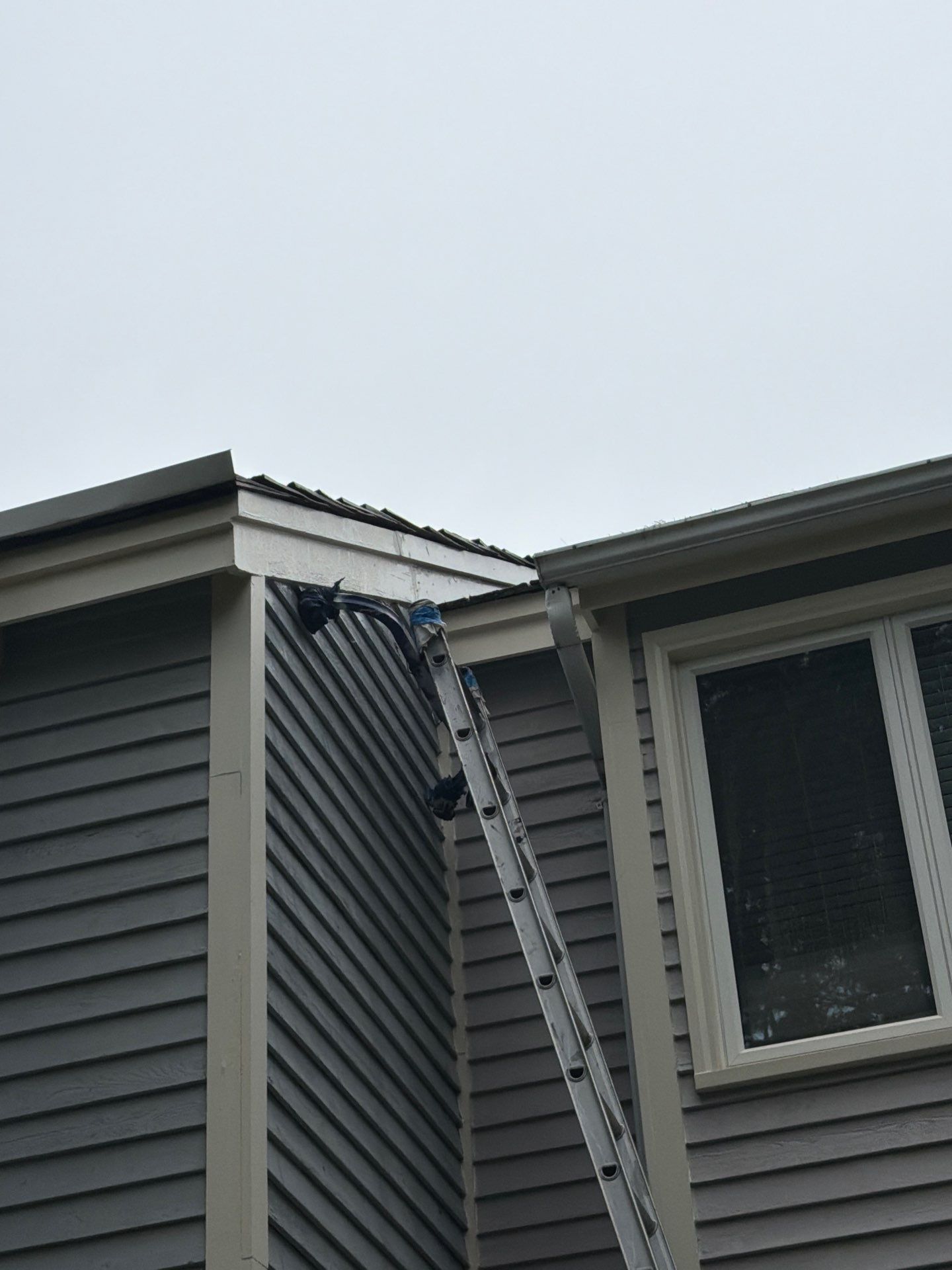 Exterior Washing in Reston, VA by My Painter 