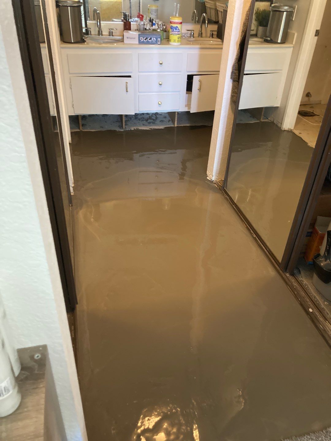 Replace Carpet with LVP by Bayfront Home Repair