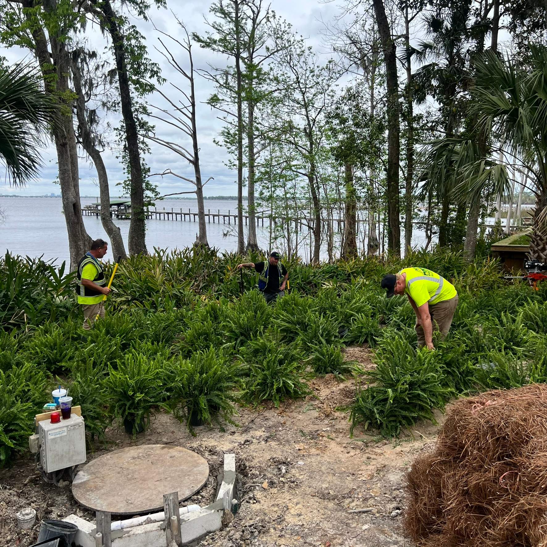 Landscape Install | Residence by ProGreen Services