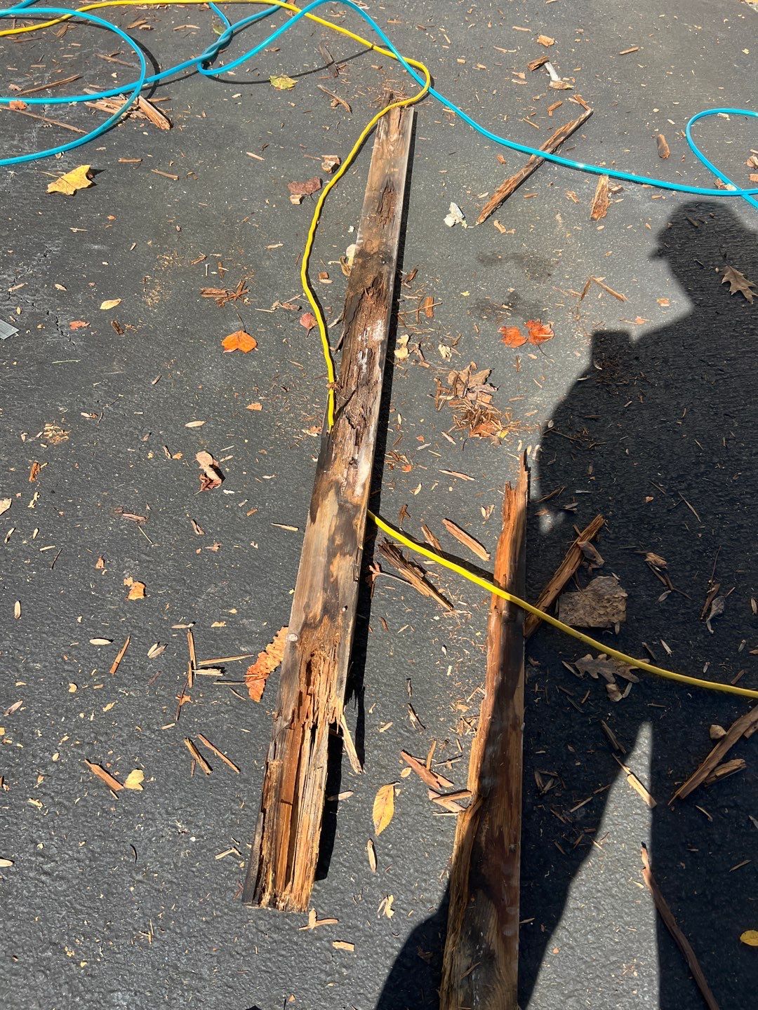 Vienna: Residential Roof Replacement with CertainTeed Landmark Designer Shingles in Burnt Sienna by RM Banning, Inc.