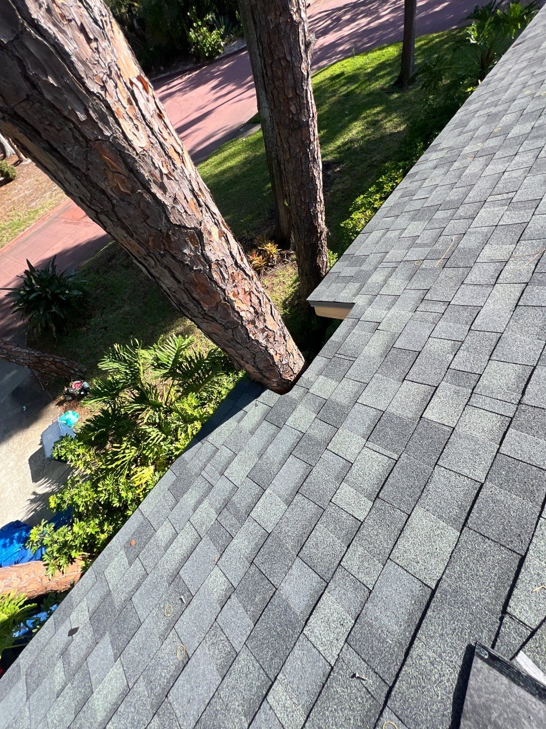 Project in St. Petersburg 33705 by Mitchell Roofing Company LLC