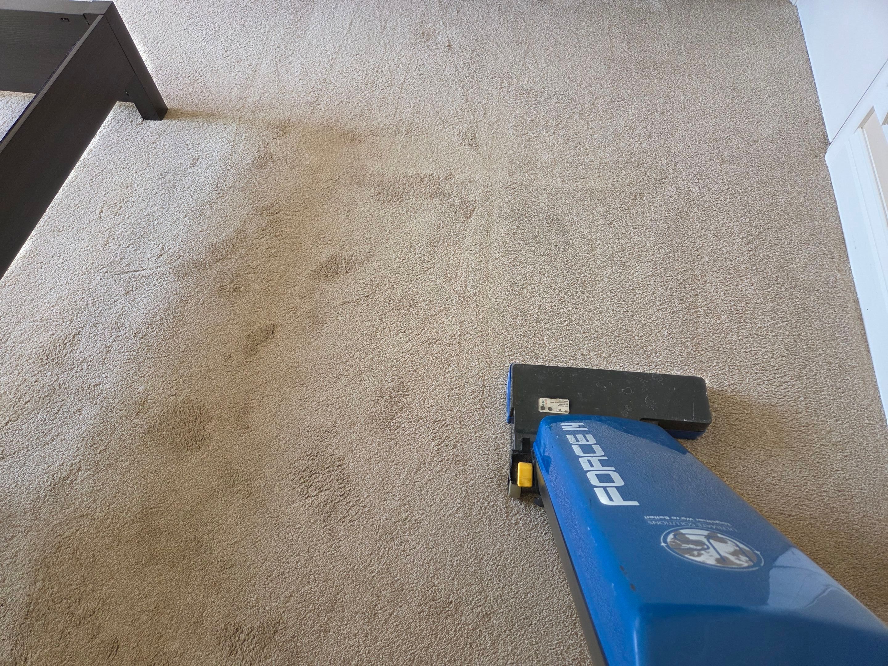 Carpet and Upholstery Cleaning in Sacramento by Ardent Carpet Restore LLC