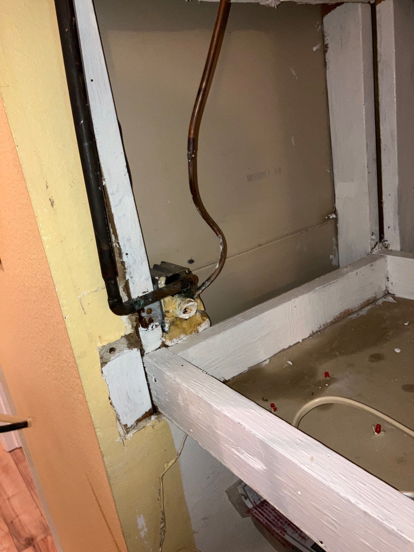 Bradenton Mold Remediation by Ampm Restoration Services