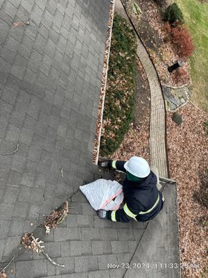 Gutter cleaning in Barrington