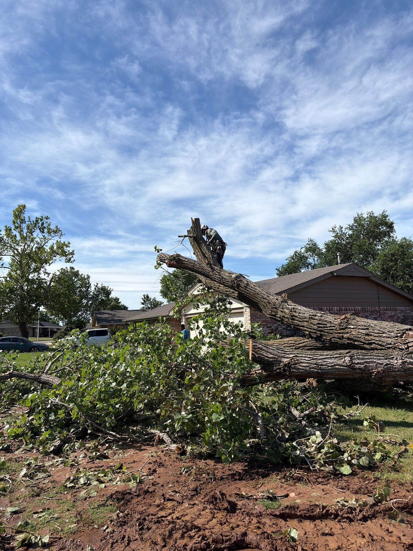 Emergency Tree Removal and Sod Installation Restoration in Lawton by Clays Services Inc