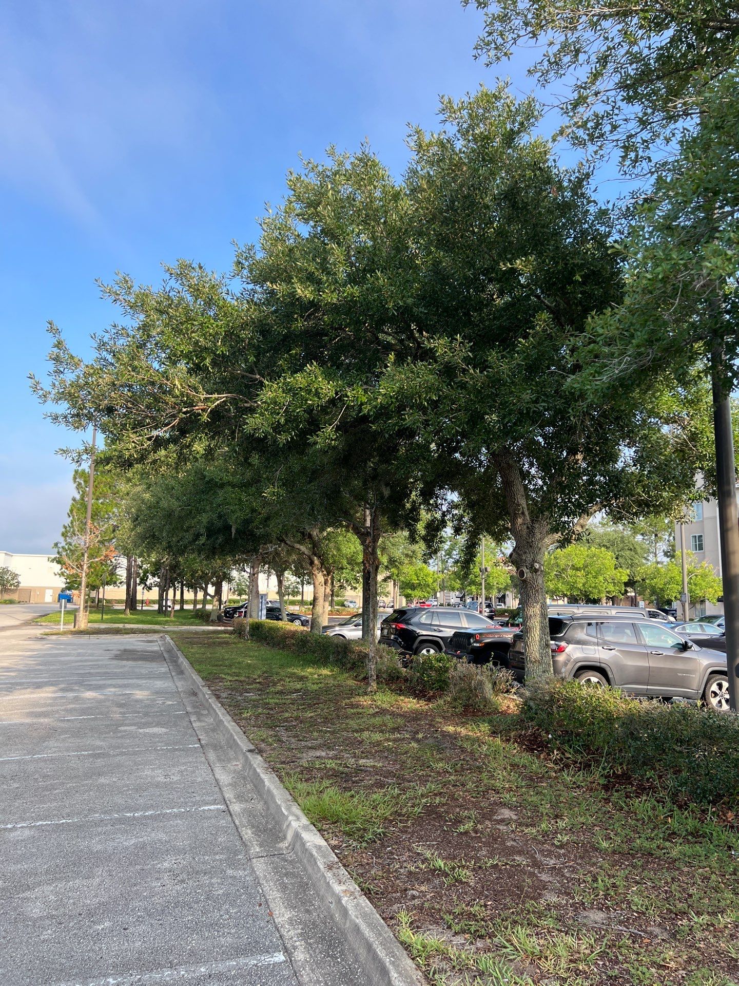 Homewood Suites | Tree Service by ProGreen Services