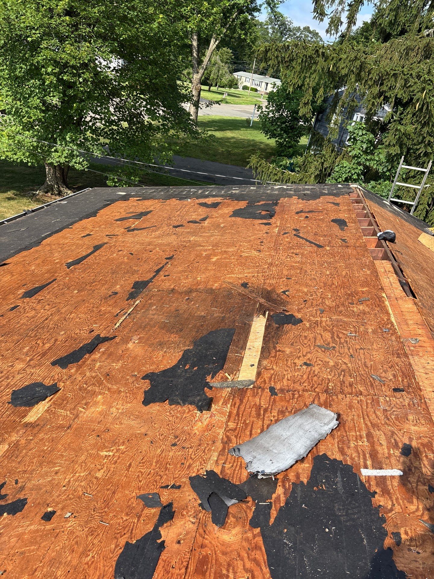 Cheshire by All site builders LLC