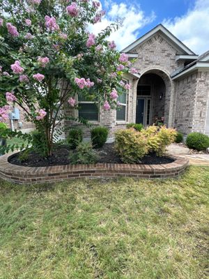 Wortham Oaks - San Antonio, TX