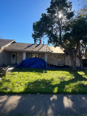 Project in Austin