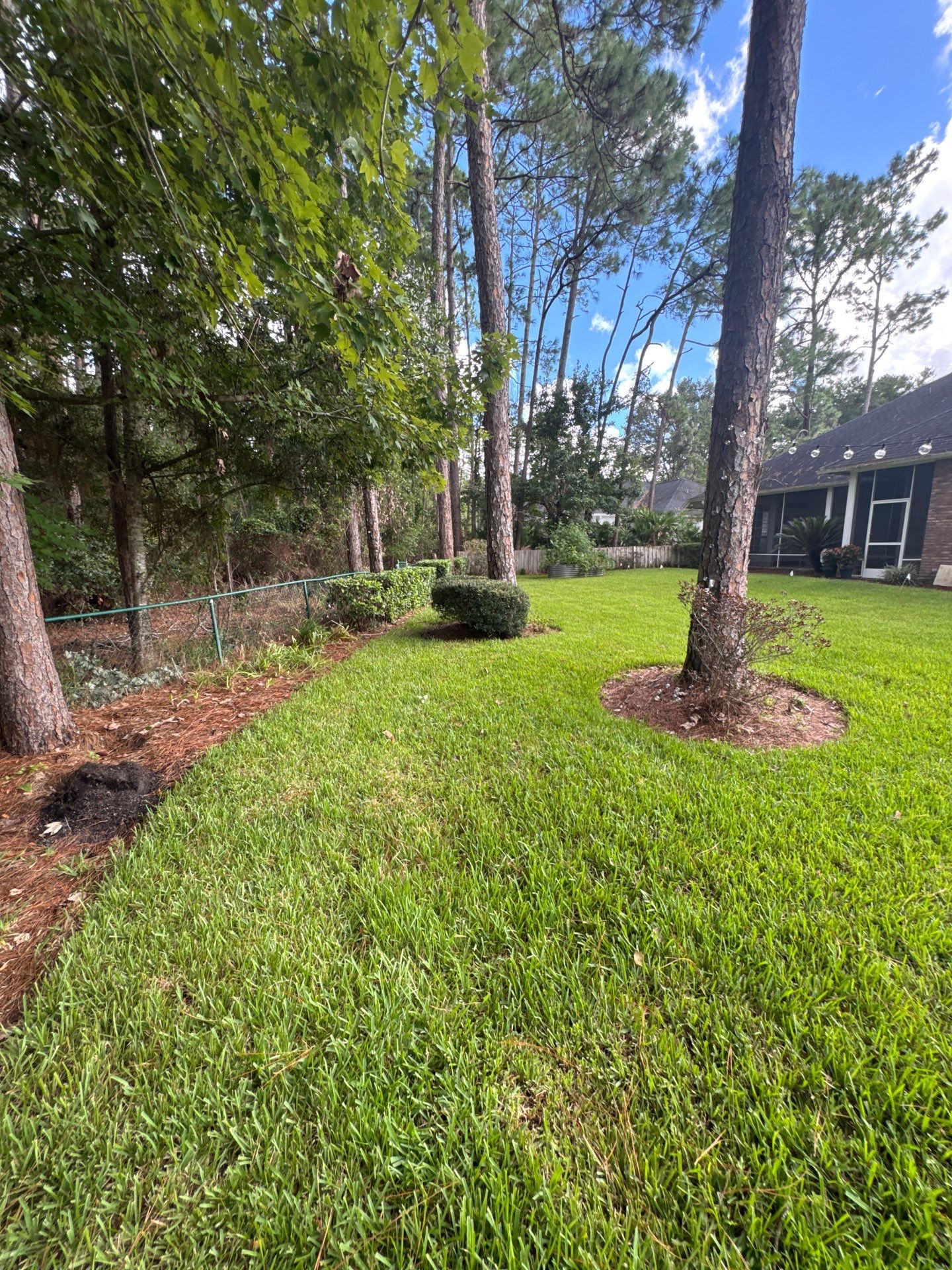 Residential | Shrub Trimming by ProGreen Services