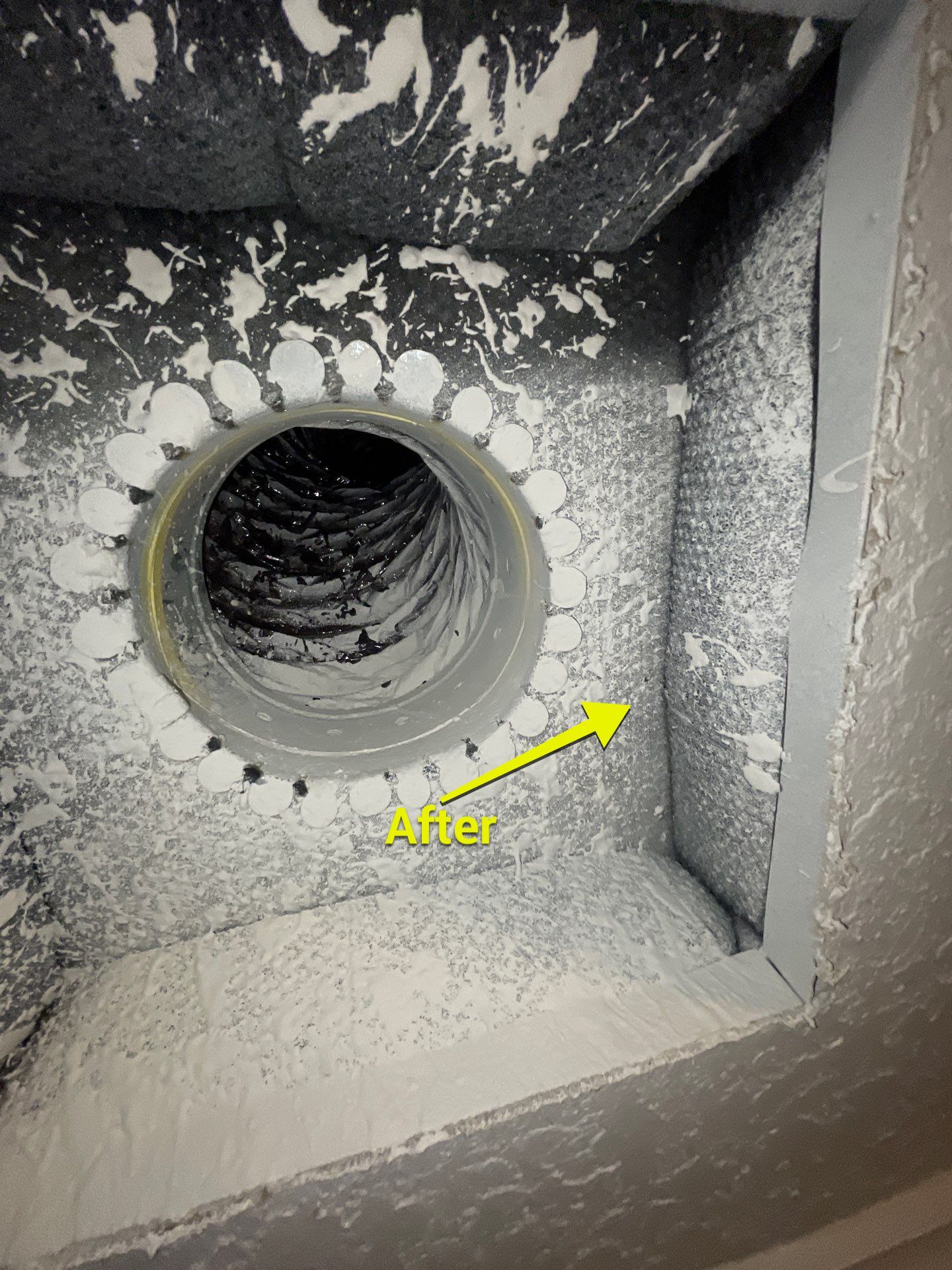 Air Duct Dryer Vent Cleaning in Winter Garden by Hygienic Air, Inc
