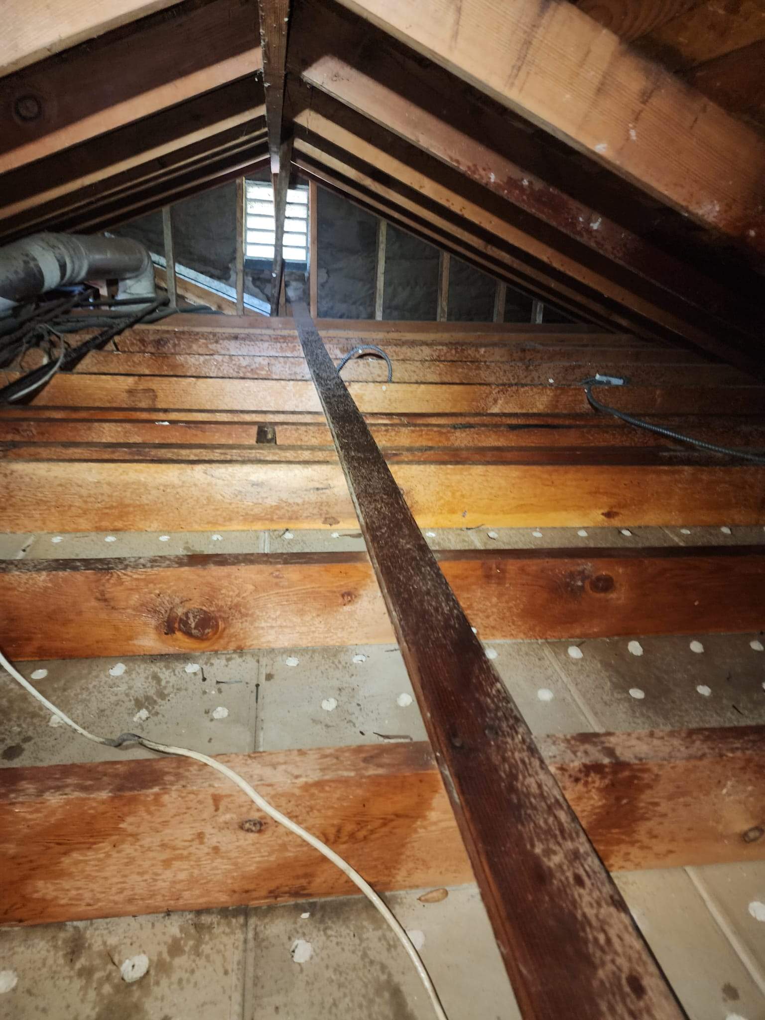 Project by Advanced Attic Solutions by Advanced Attic Solutions