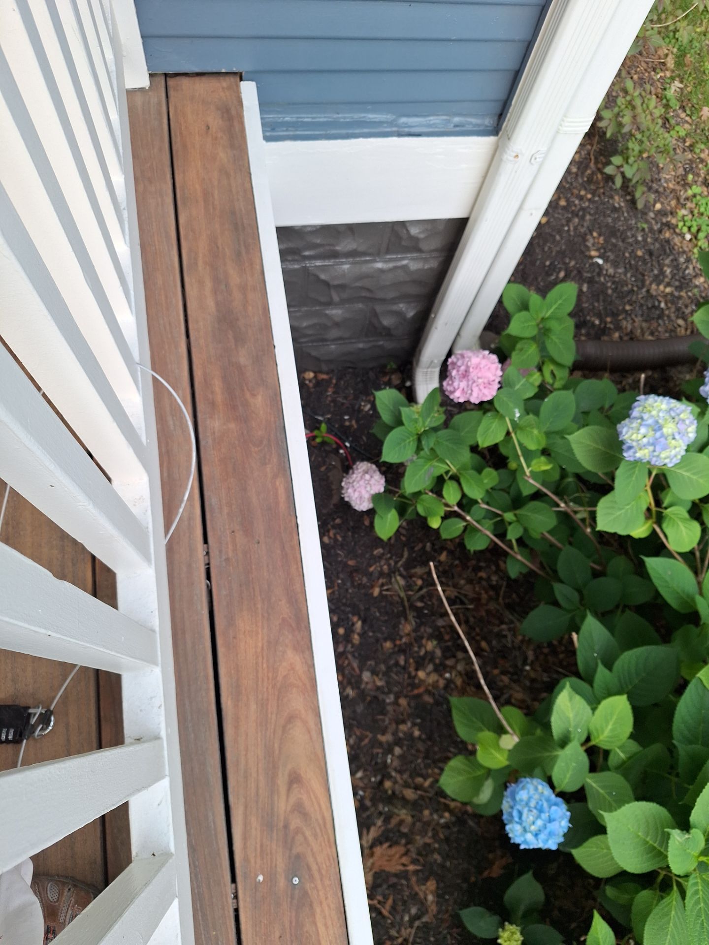 Exterior House Painting in Arlington, VA by My Painter 