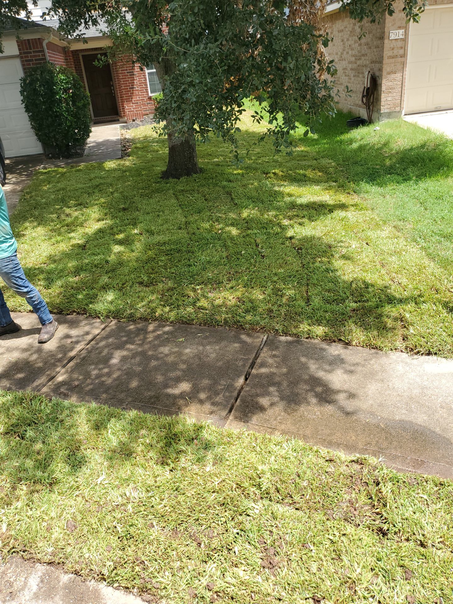 Sandra — Front & Backyard Leveling, Drainage, and Sod Transformation by Texas Urban Elements
