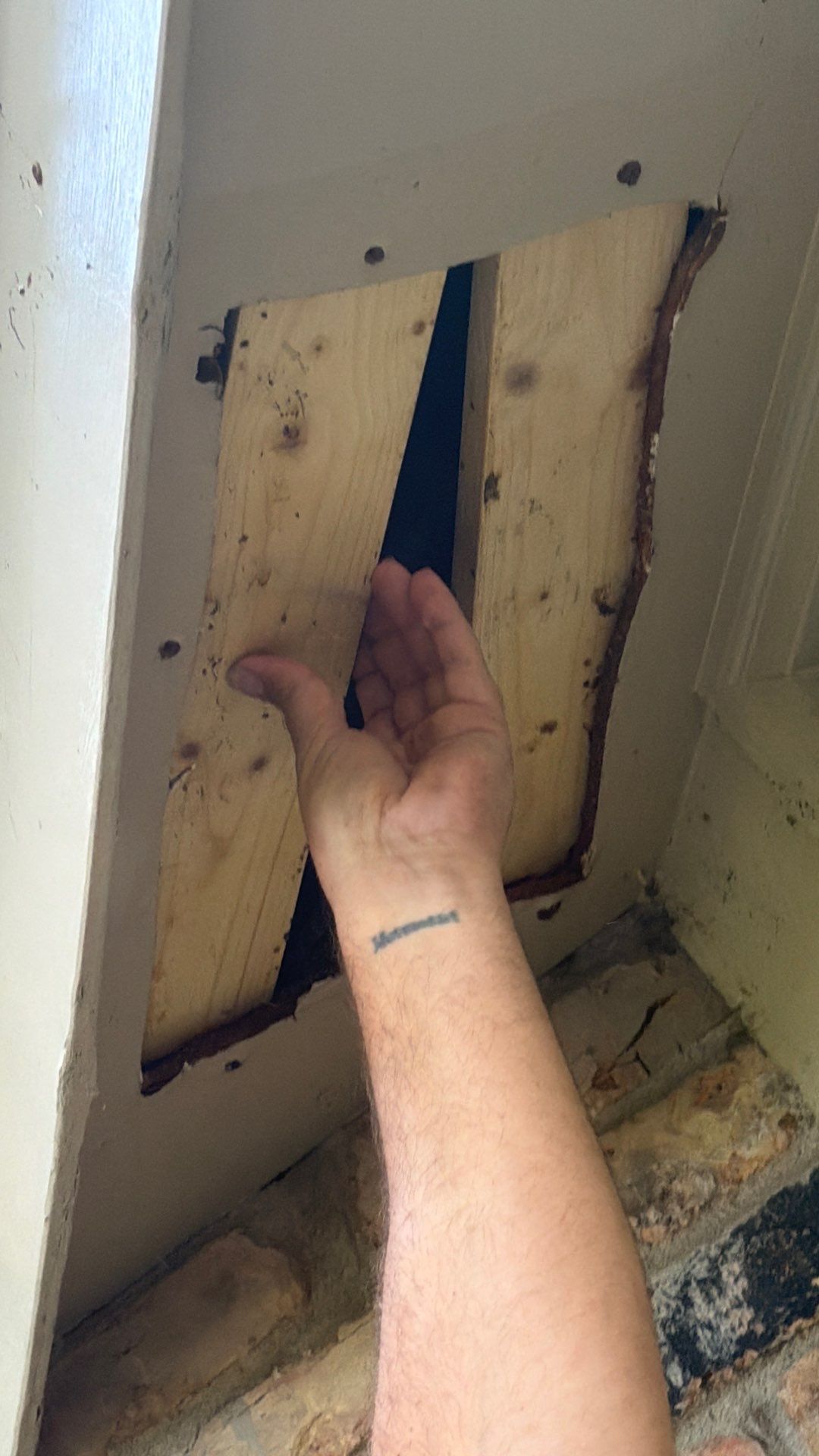 Why hire a professional? by Rockwall Honey Bee Company
