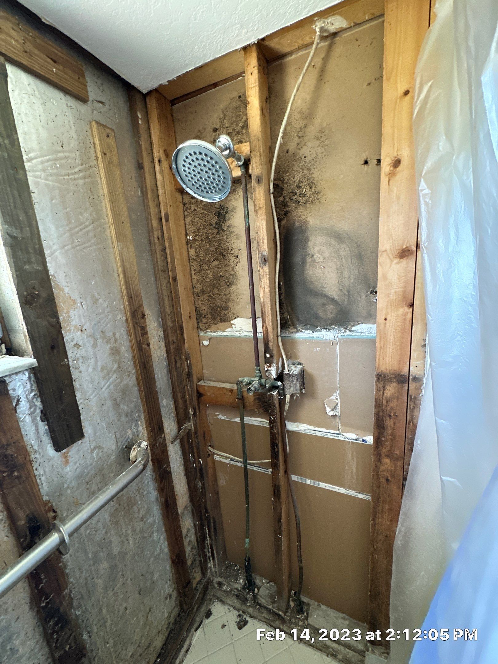Mold Assesment by Building performance Solutions LLC