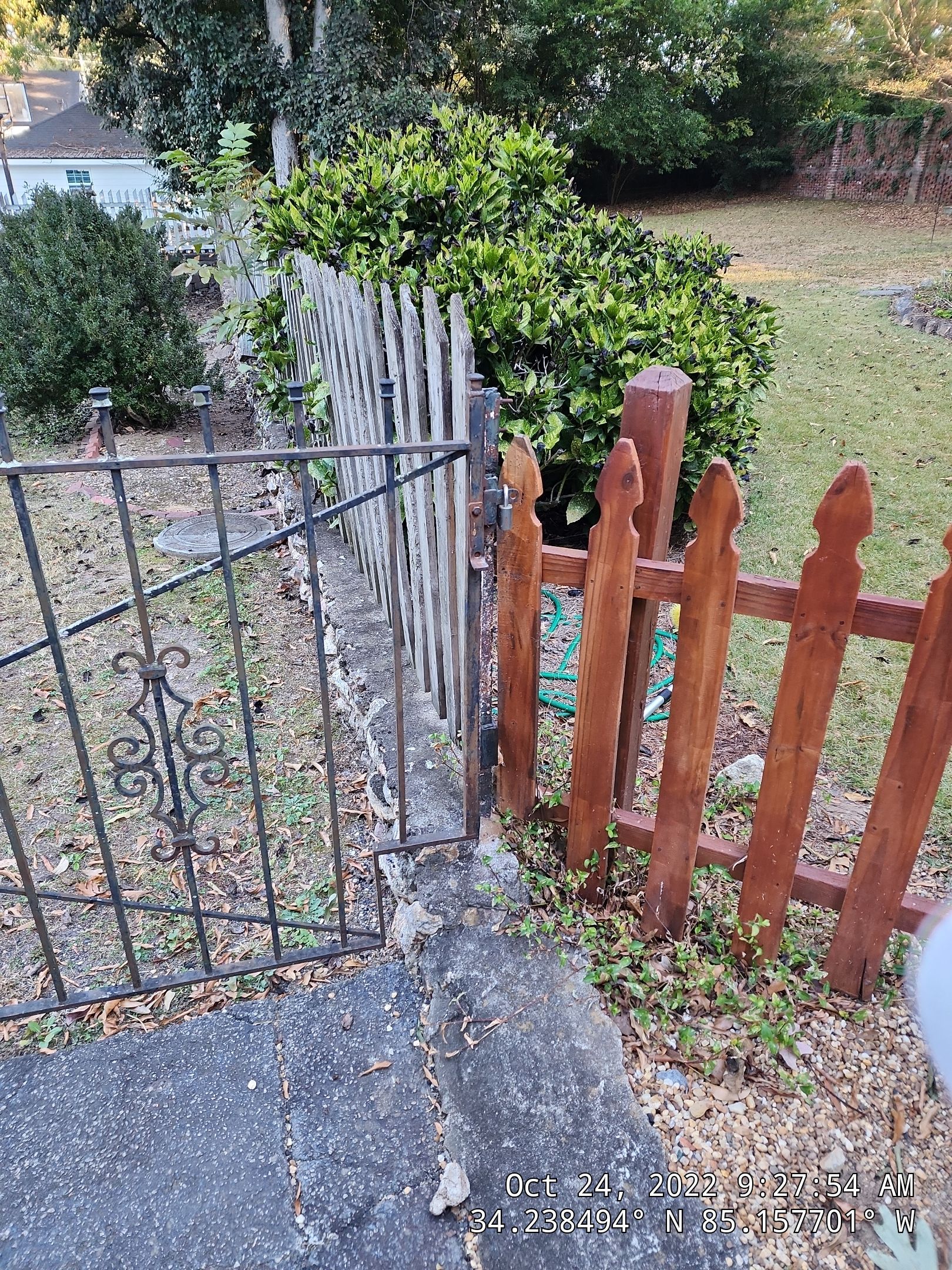 6' Wood Privacy with Dog Eared Pickets by Titans of Timber Fence & Stain