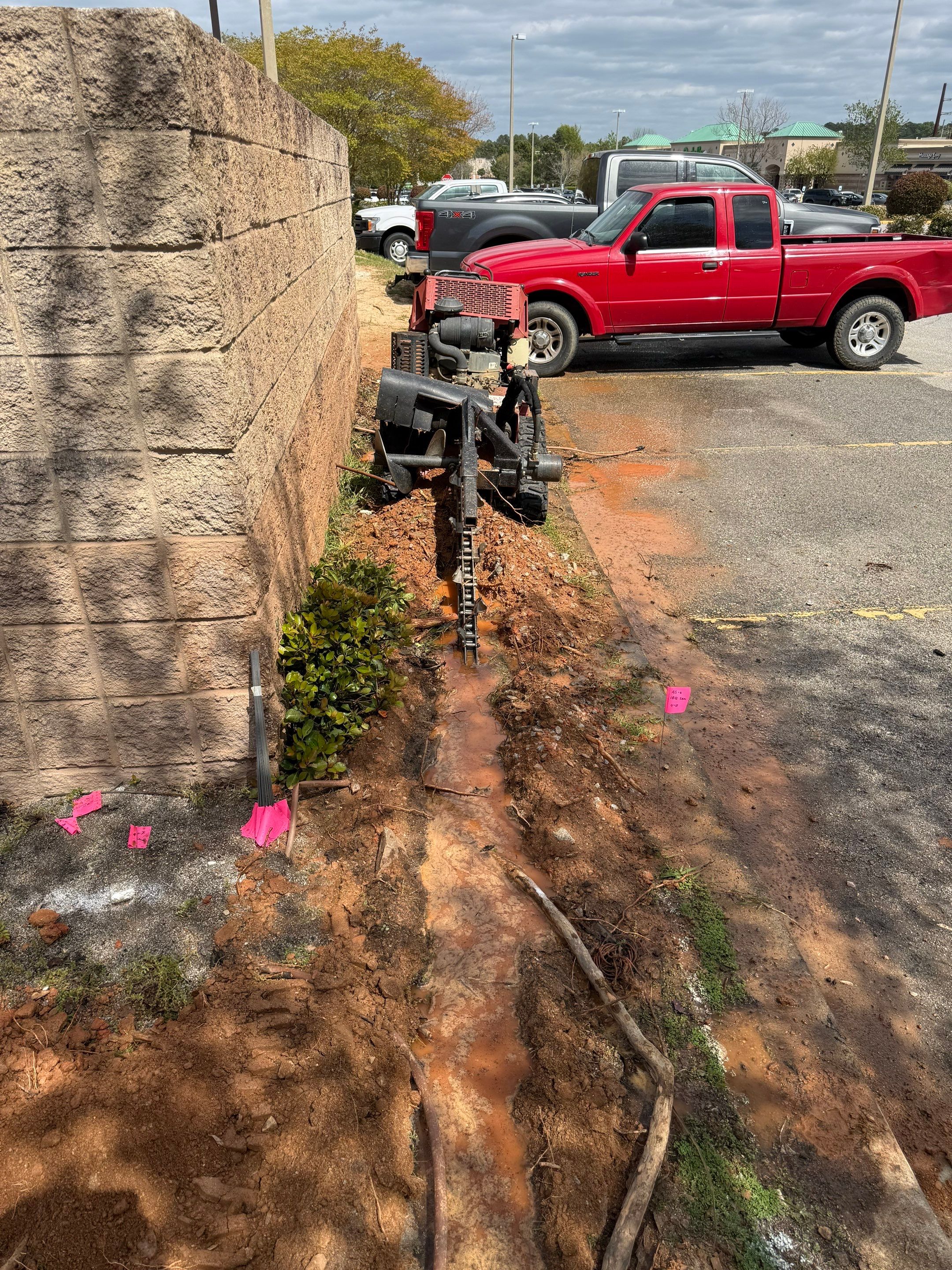FTB Haribson Bank Project Columbia SC - (Commercial) by Carolina-Metro Landscape, Inc