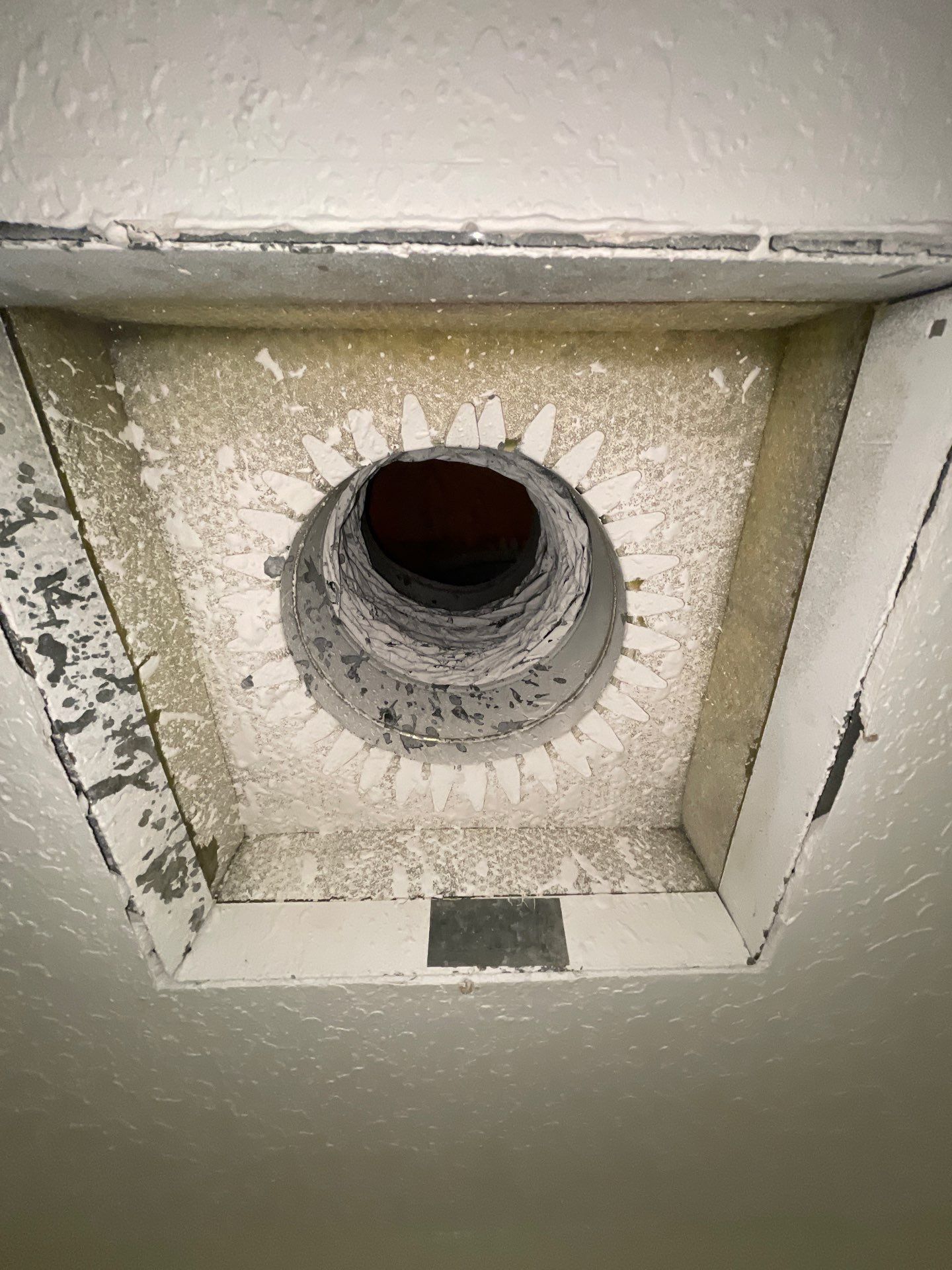 Air Duct Cleaning in Bartow by Hygienic Air, Inc