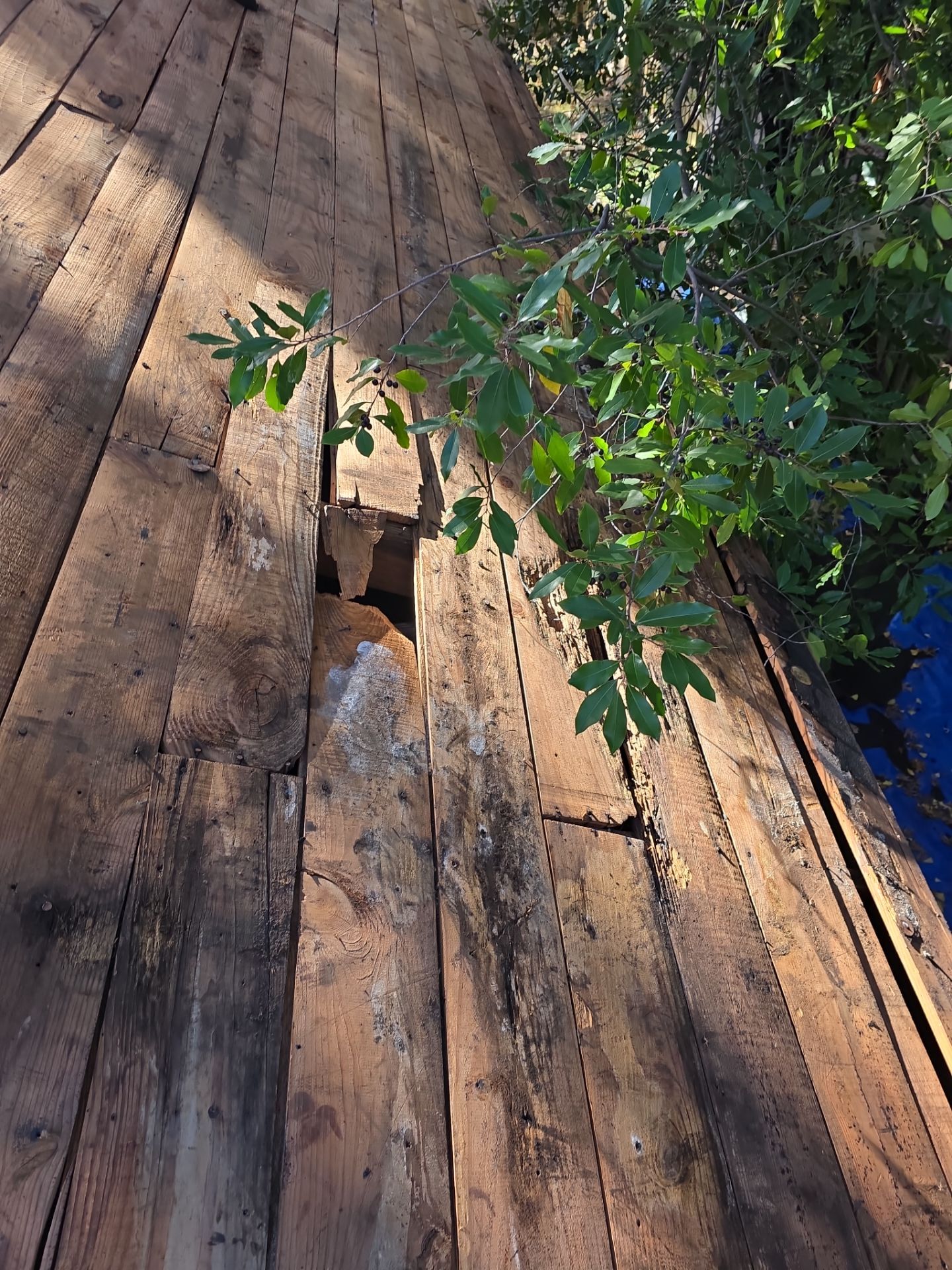 Project in Dallas by Armor Roofing | Exteriors