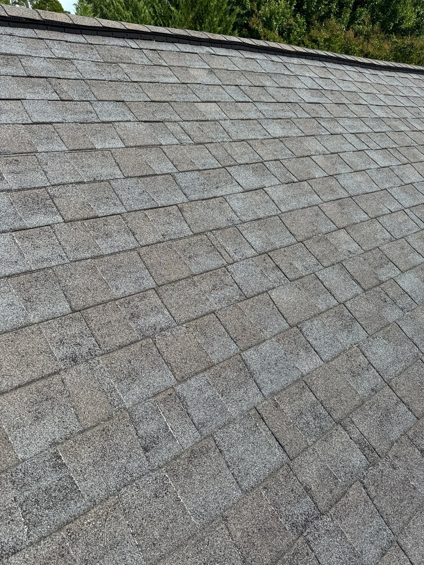 Carol Calhoun by United Contracting and Roofing