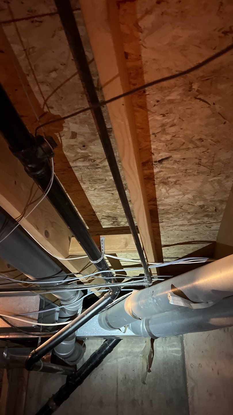 Mold Damage by Accountable Home Services