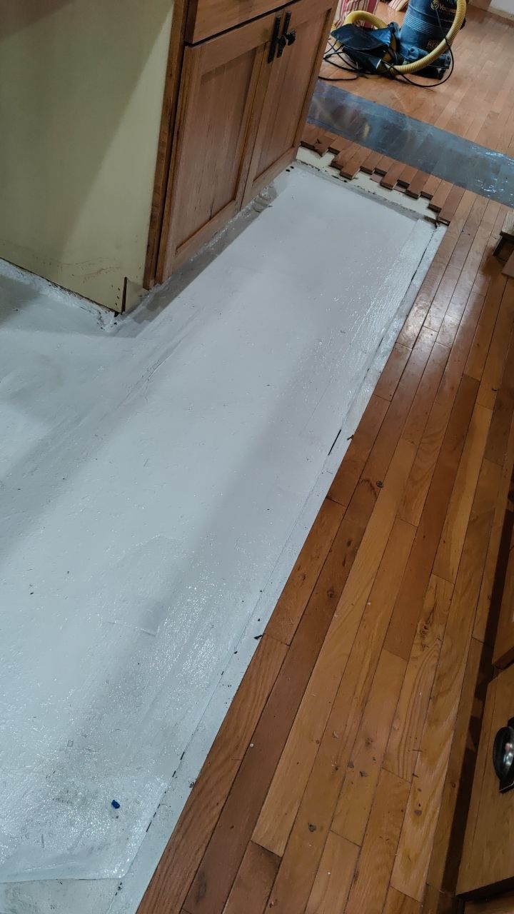 Mold Damage by Accountable Home Services