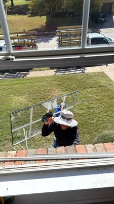 Window Repairs