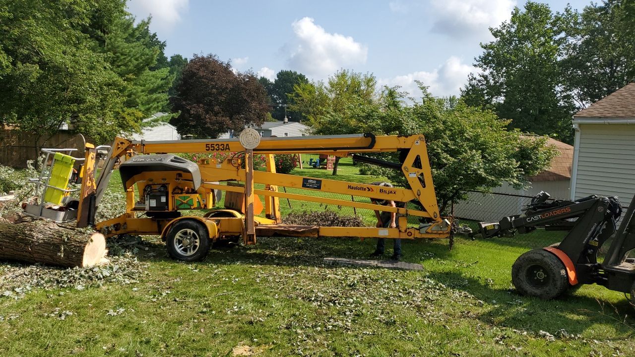 Tree Removal by Mike Jones & Sons Tree Service LLC 