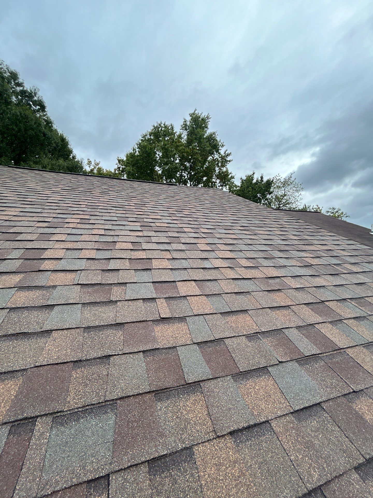 Alexandria : Residential Roof Replacement with CertainTeed Landmark Pro in Max Def Heather Blend  by RM Banning, Inc.