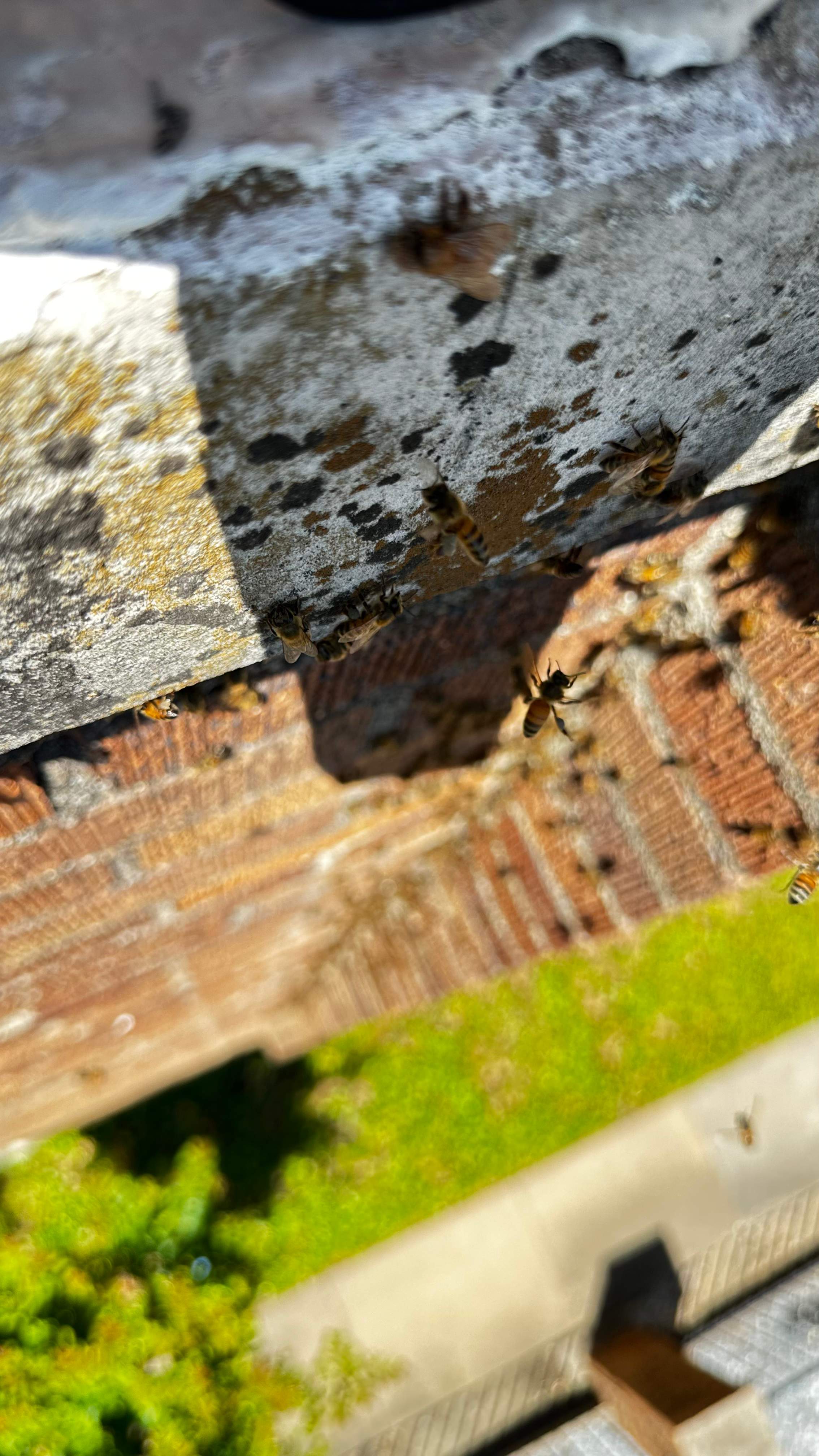 Church by Rockwall Honey Bee Company