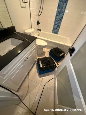Mold Remediation — Bonita Springs, FL