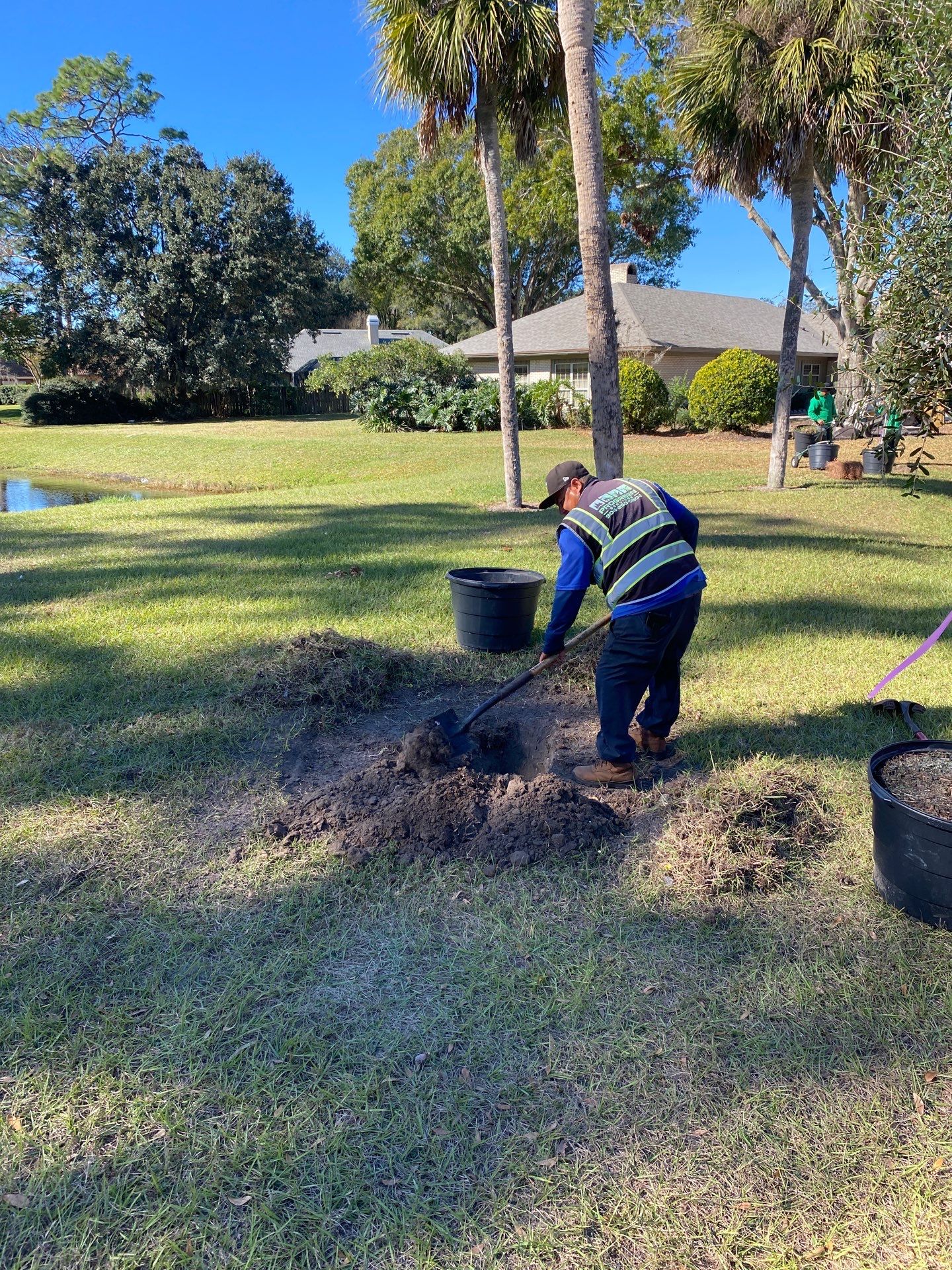 Deerwood Community | Oak Tree Replacement Project by ProGreen Services