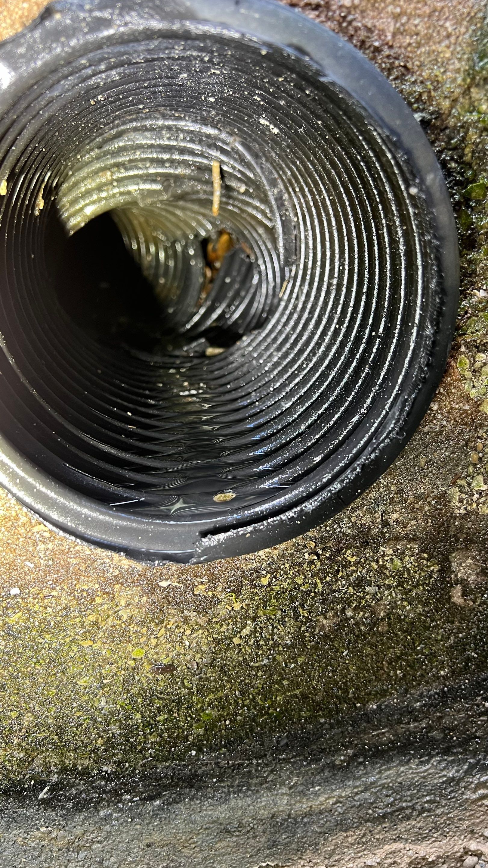 Naples Condo Catch Basin Cleaning by APS Power & Water