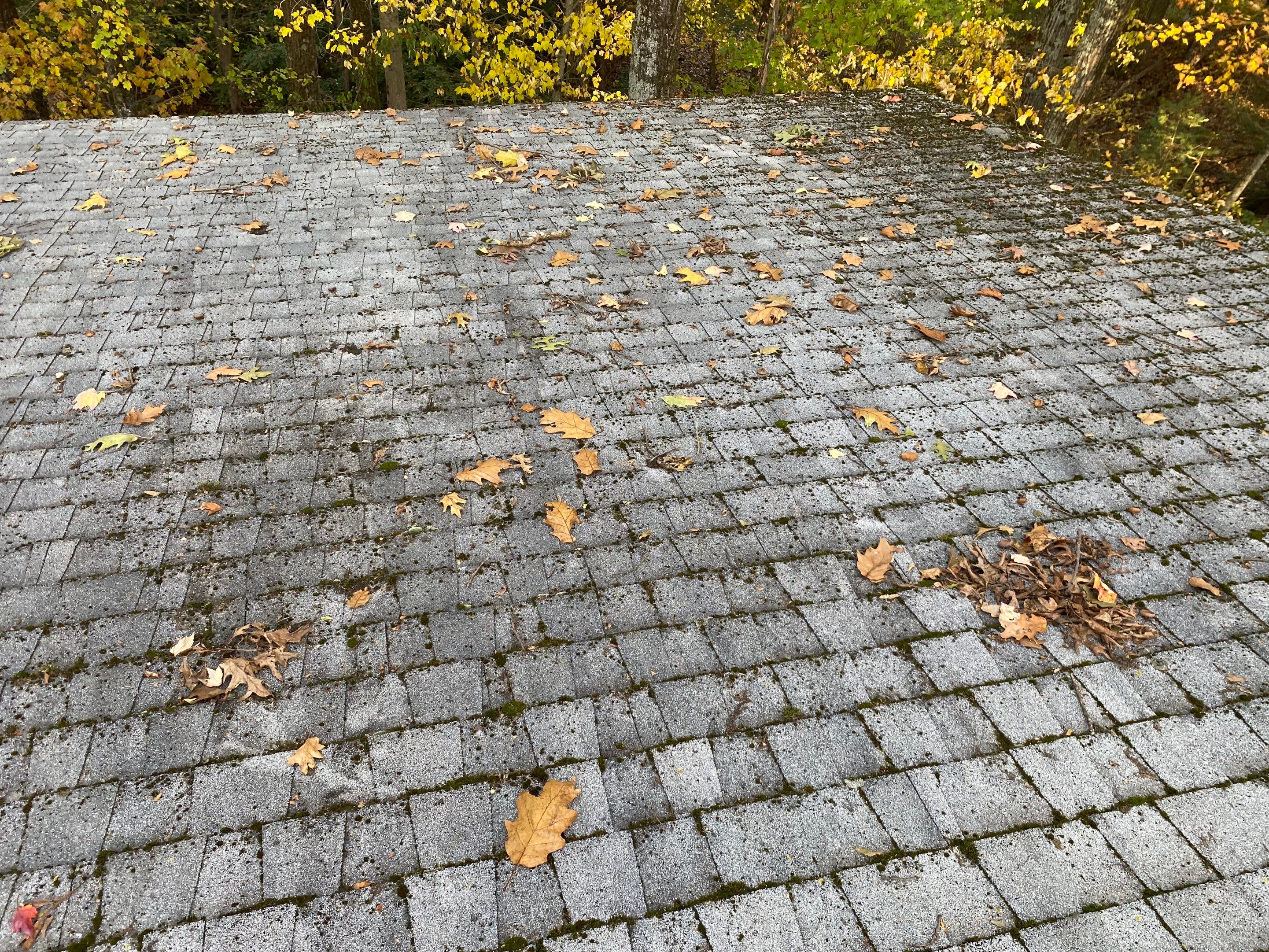Roofing & Skylights | Concord by Mighty Dog Roofing of Greater Middlesex County