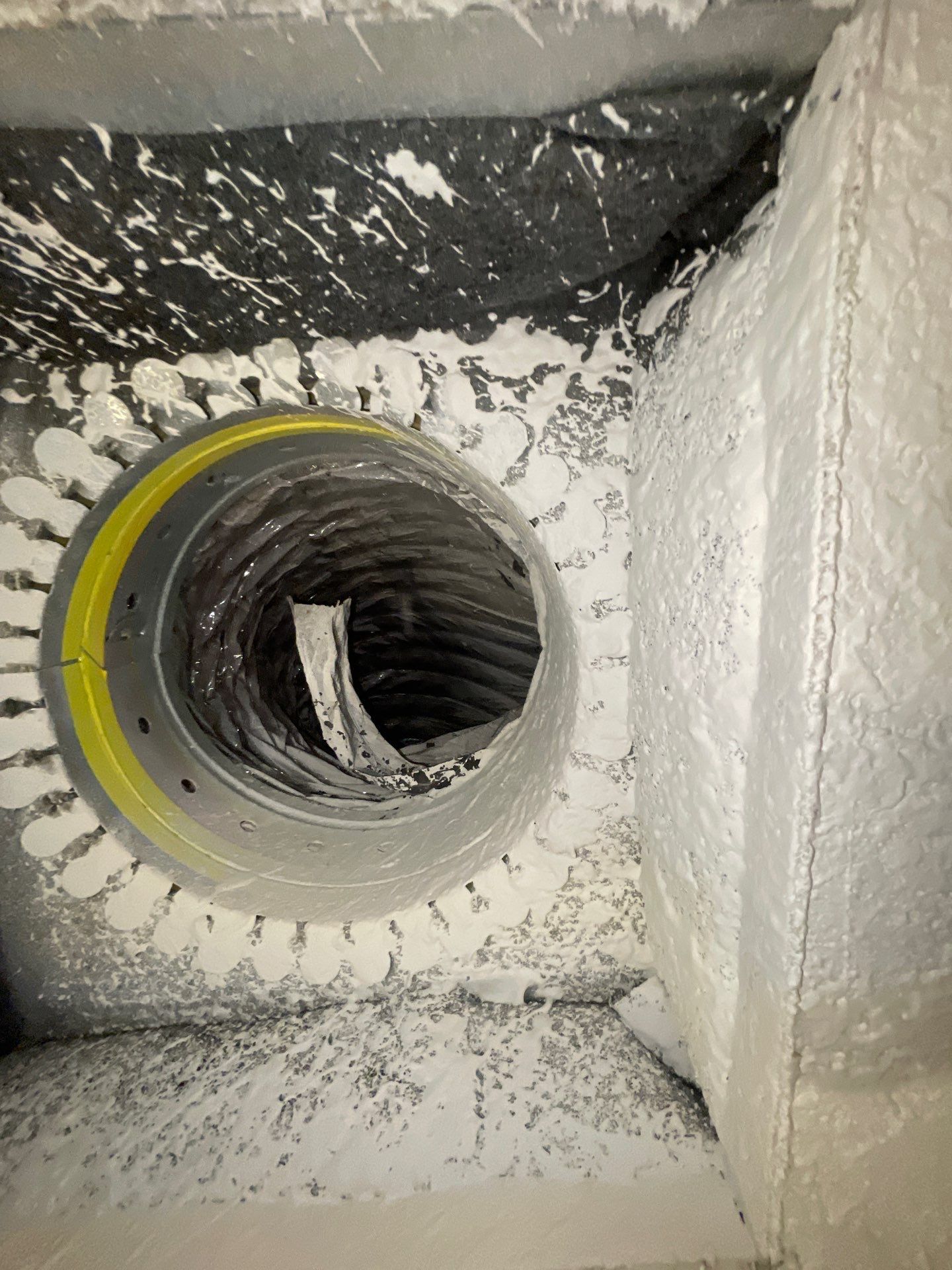 Air Duct Dryer Vent Cleaning in Winter Garden by Hygienic Air, Inc