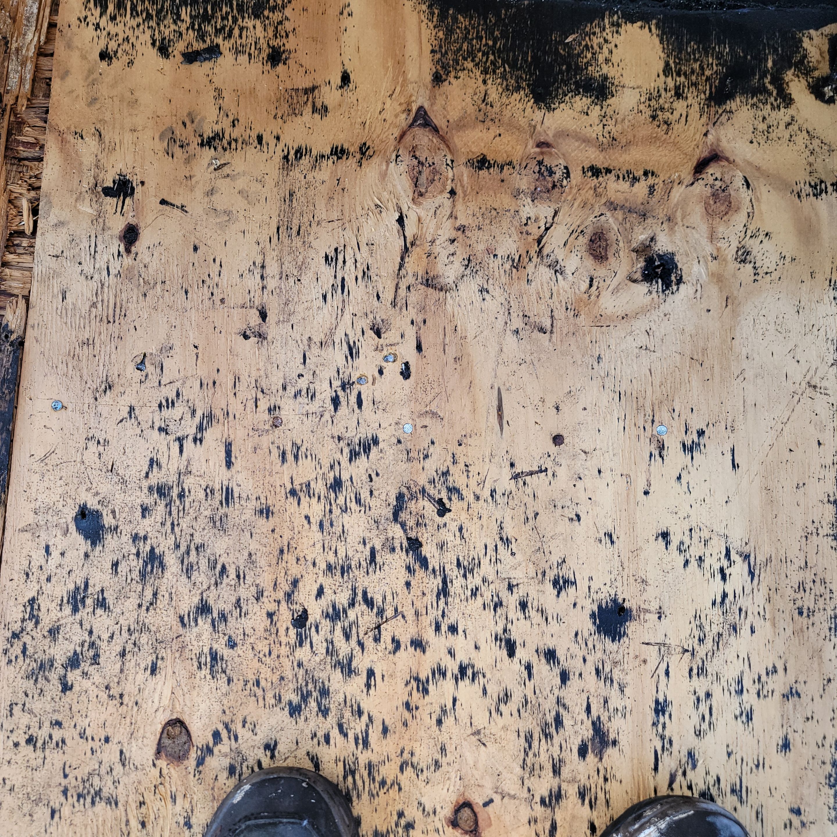 Scott St., Hollywood, FL by G&J Roofing 