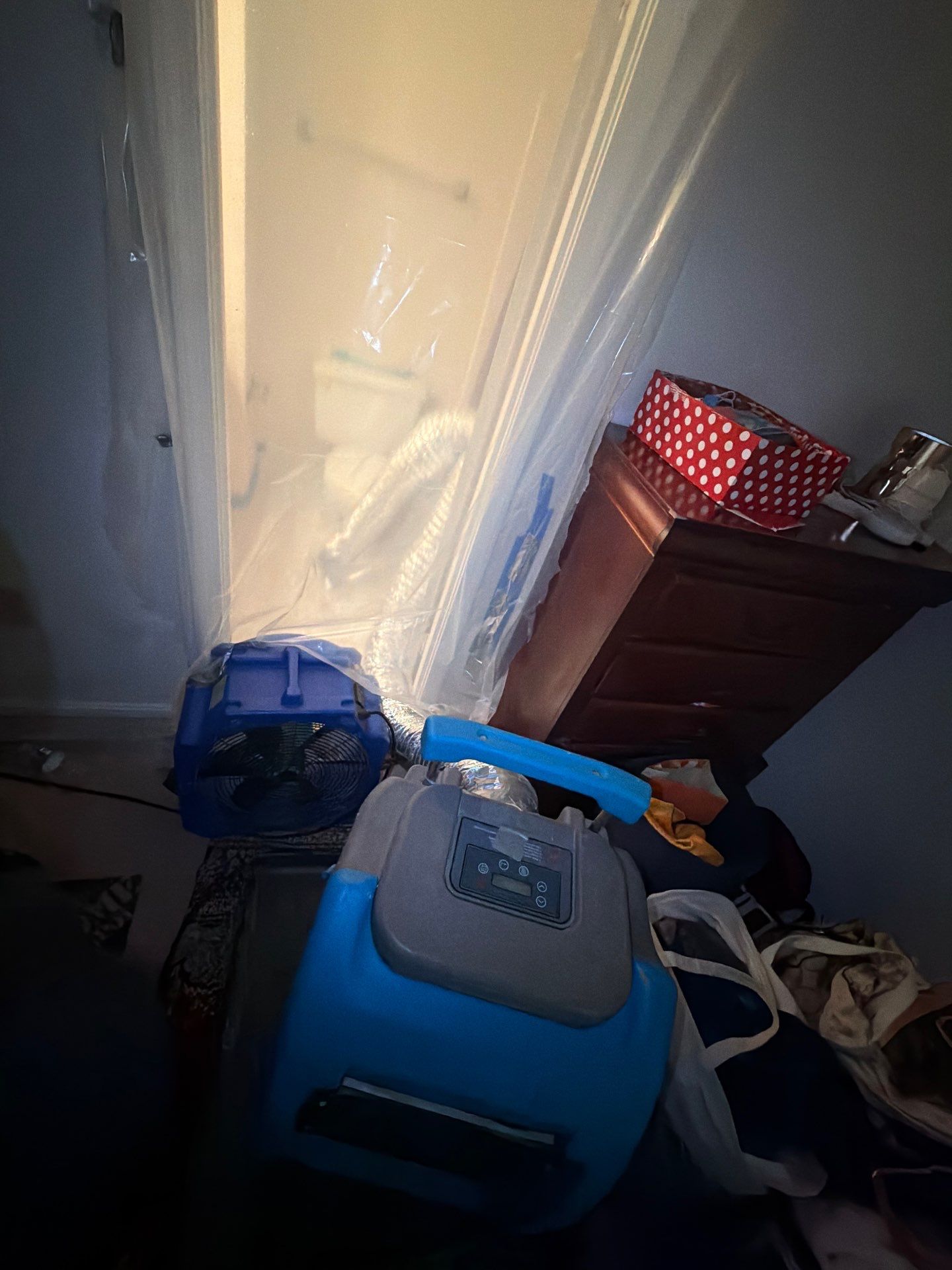 Project in Springfield by Restoration Doctor