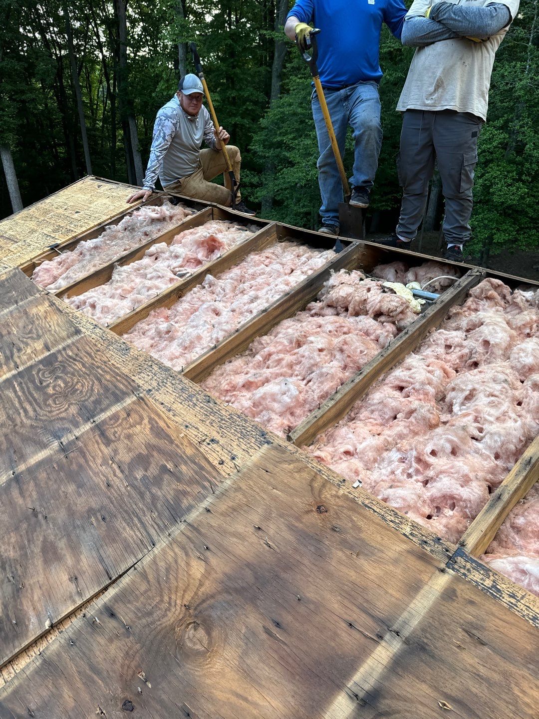 Project in Davidsonville by Elvis General Construction LLC