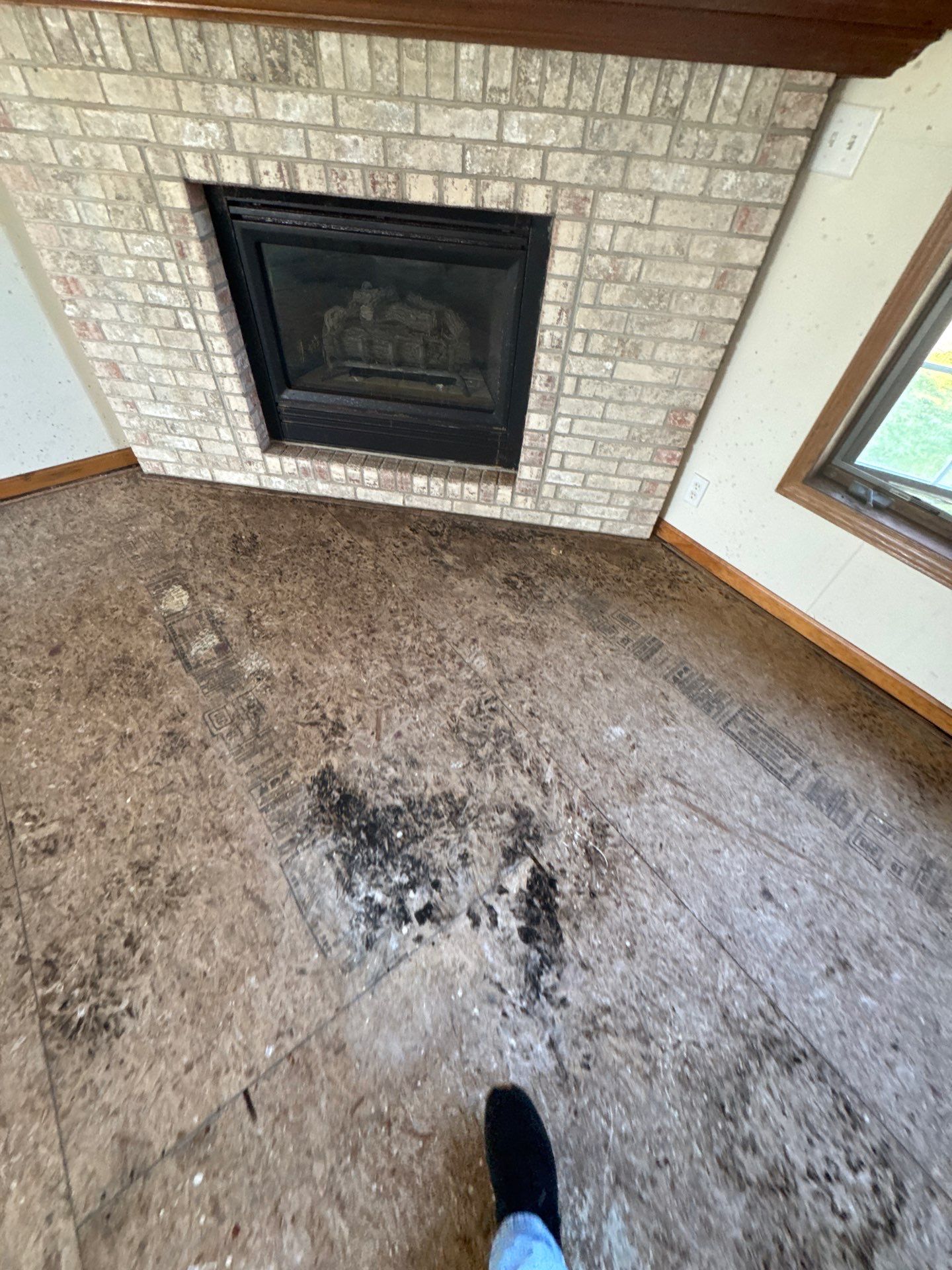 Project in Richmond by EzDry Water Mitigation & Property Restoration