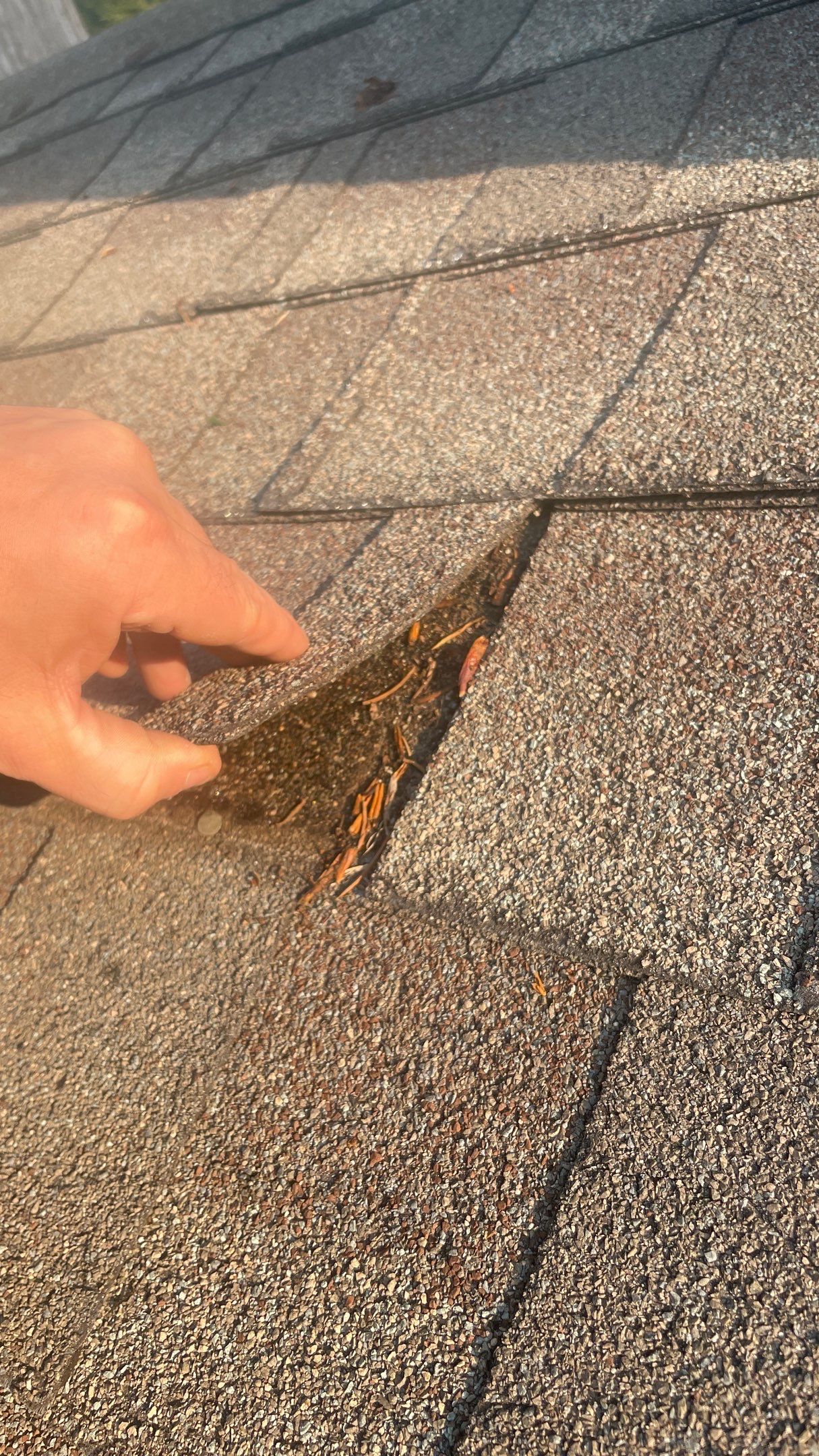 Roof Replacement using CertainTeed Landmark by 180 Contractors