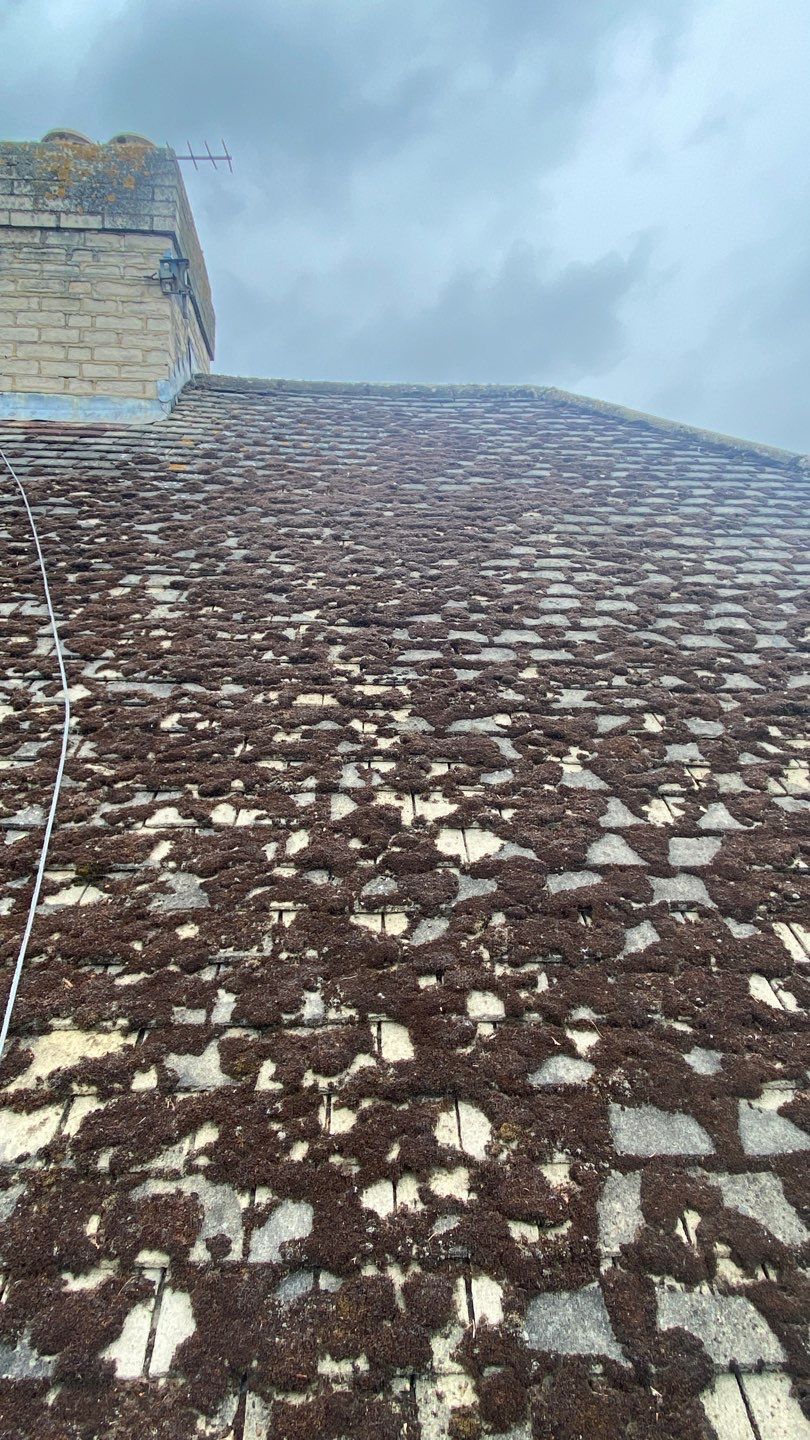 Roof Clean - Moss Removal using Honda 15lpm Low Pressure Washing Machine by Ges Exterior Cleaning ltd