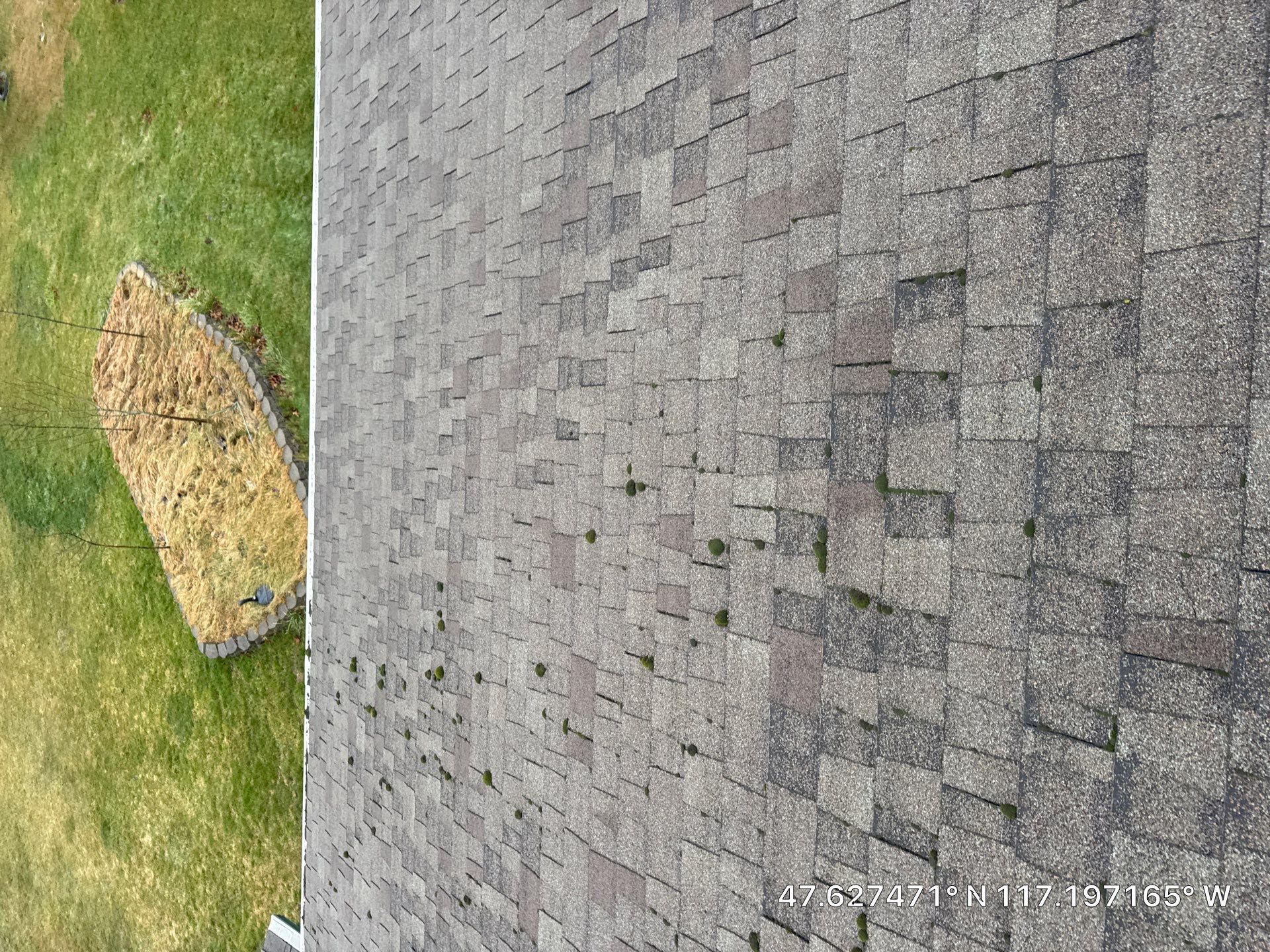 Complete Asphalt Shingle Roof Replacement and Decking Repair in Veradale by Alpine Roofing