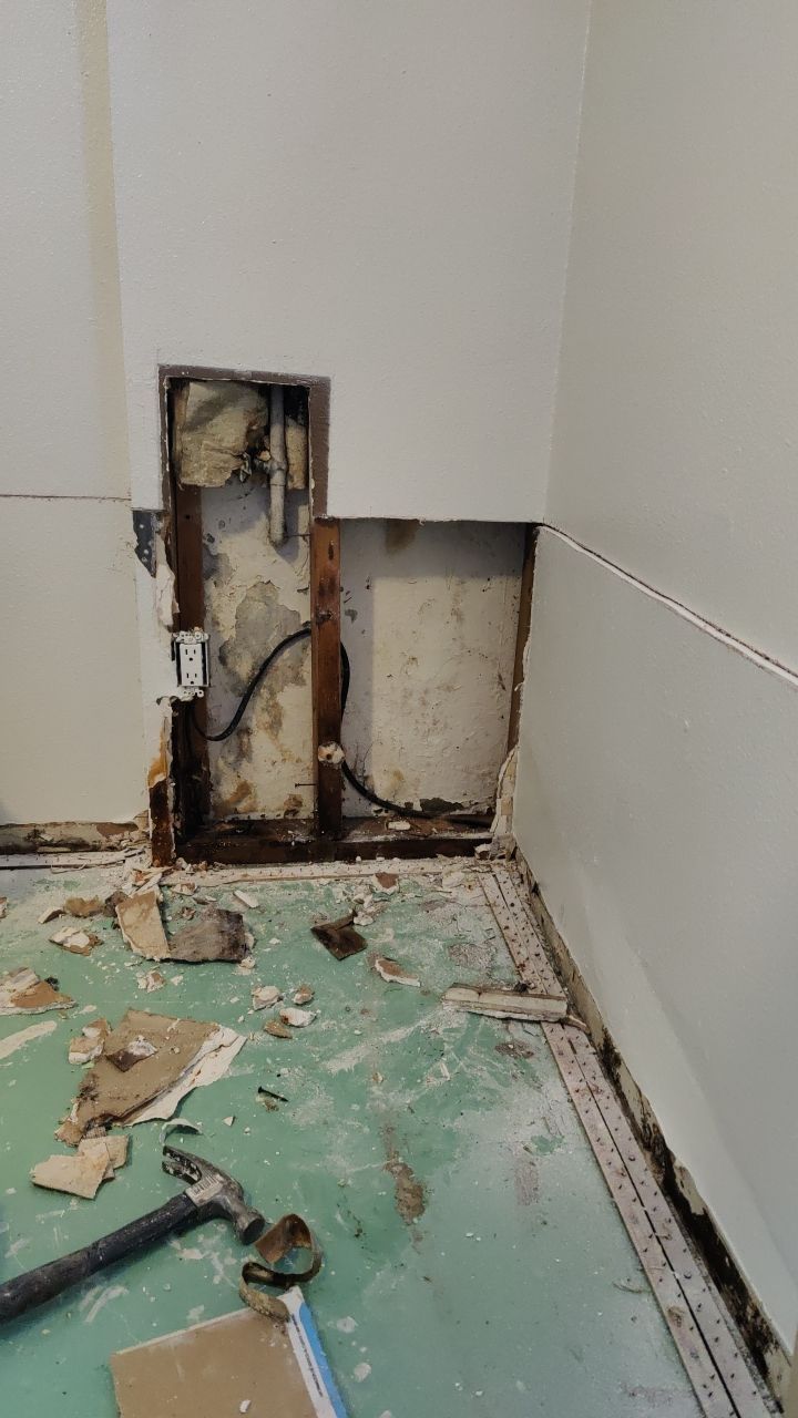 Mold Remediation by Accountable Home Services