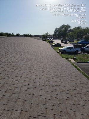 Project in Tavares